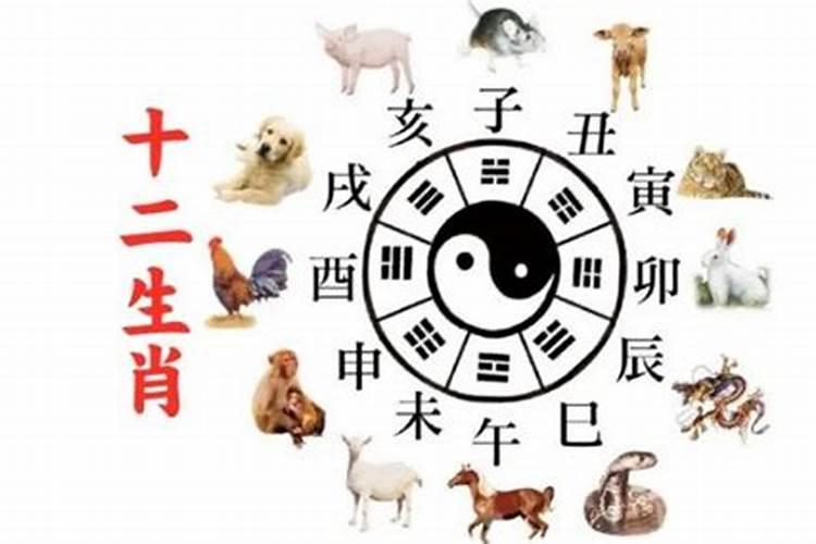 怀春的生肖