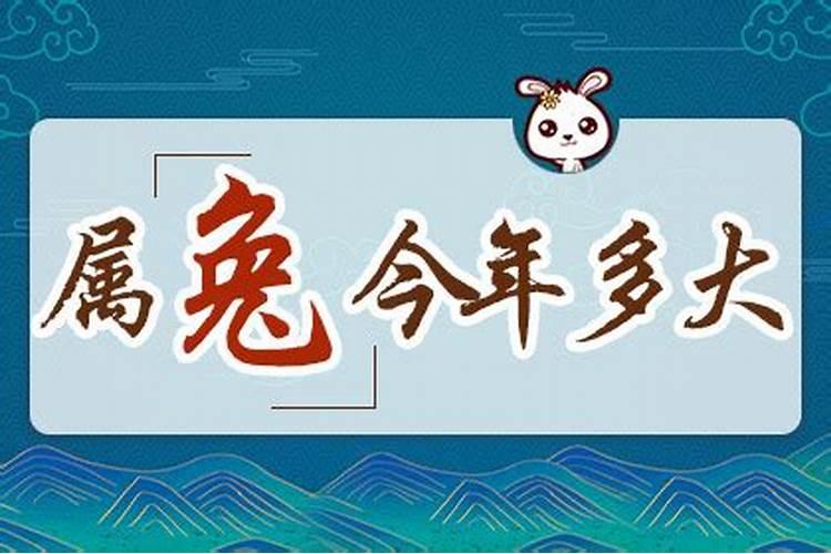 2025年属猪的全年运势
