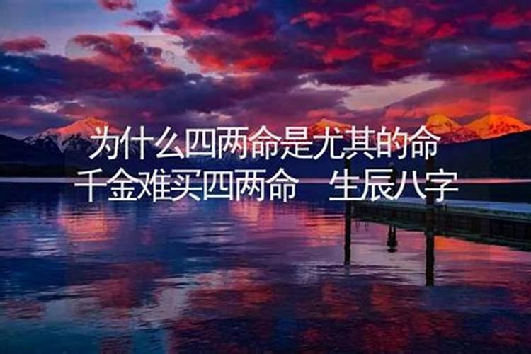 邓政波个人履历