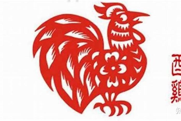 属鸡好运和倒霉的年份