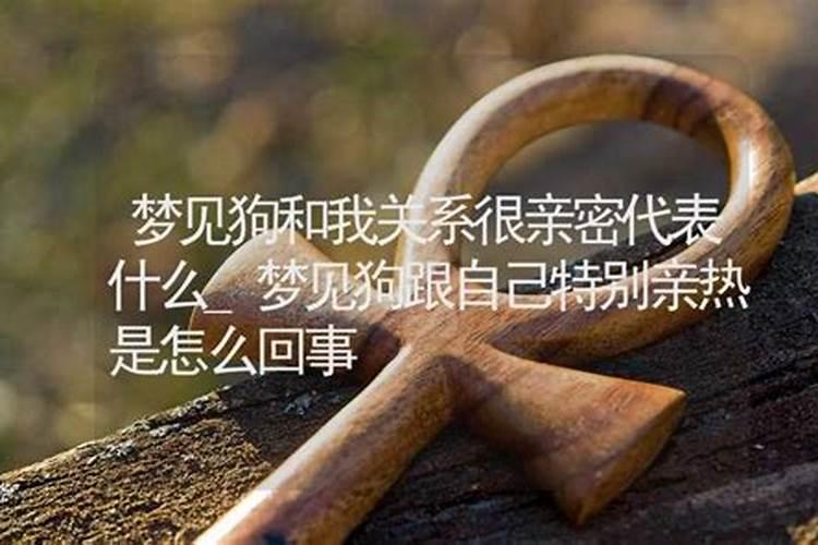 分手了但忍不住打电话怎么办