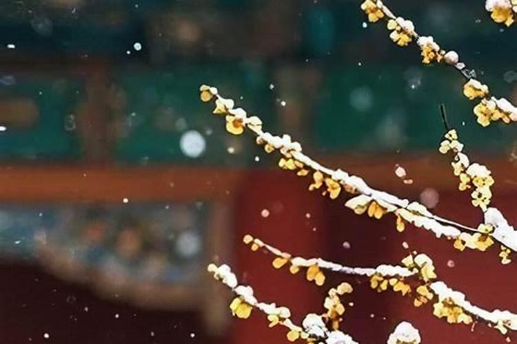 二十四节气的气候特征