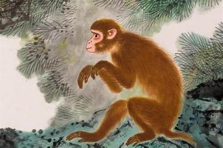 2025年太岁年有哪些属相
