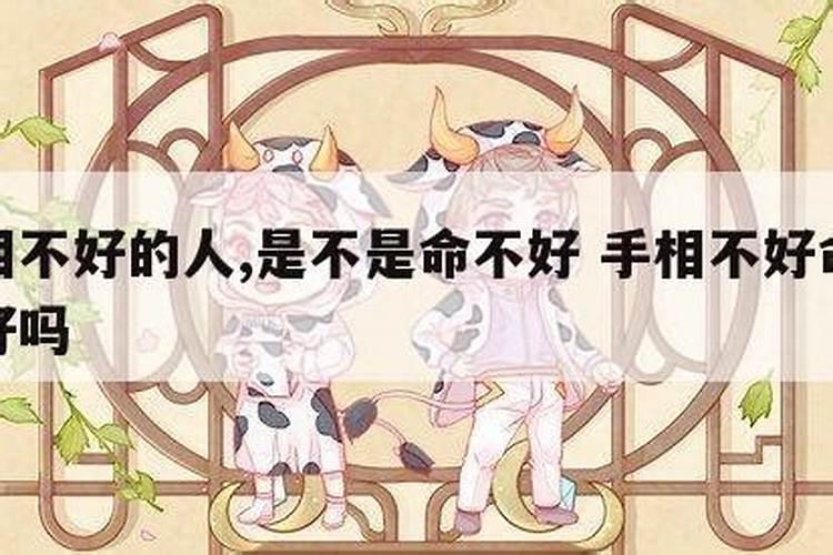 属鼠与属马的婚配有没有马鼠过一辈子的？