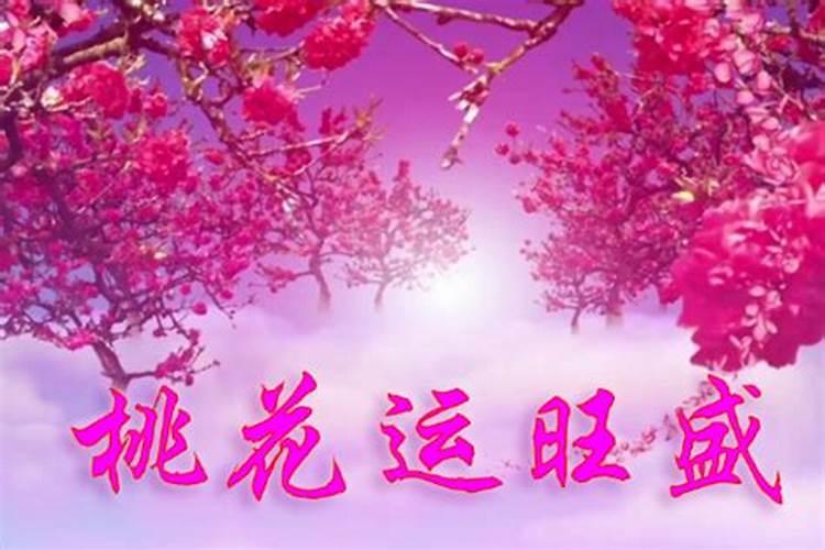 桃花运是什么意思 桃花运是命中注定吗