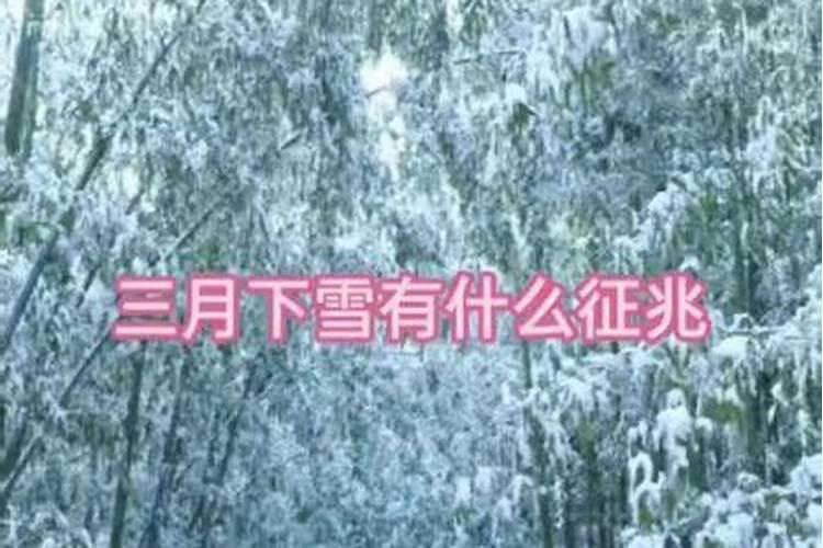 梦见女老师的预兆