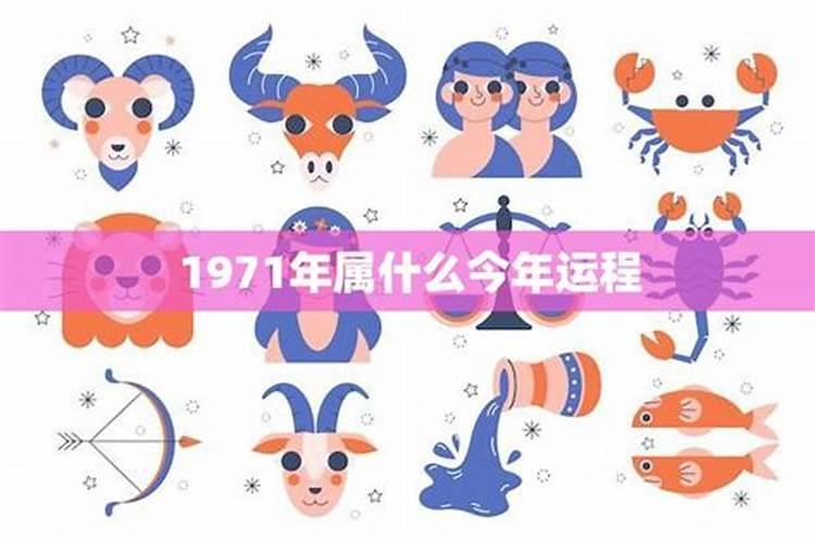 1971的猪在2025的运程
