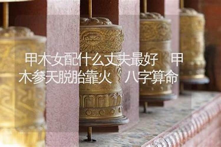 甲木女最佳配偶 丁火男命是最佳
