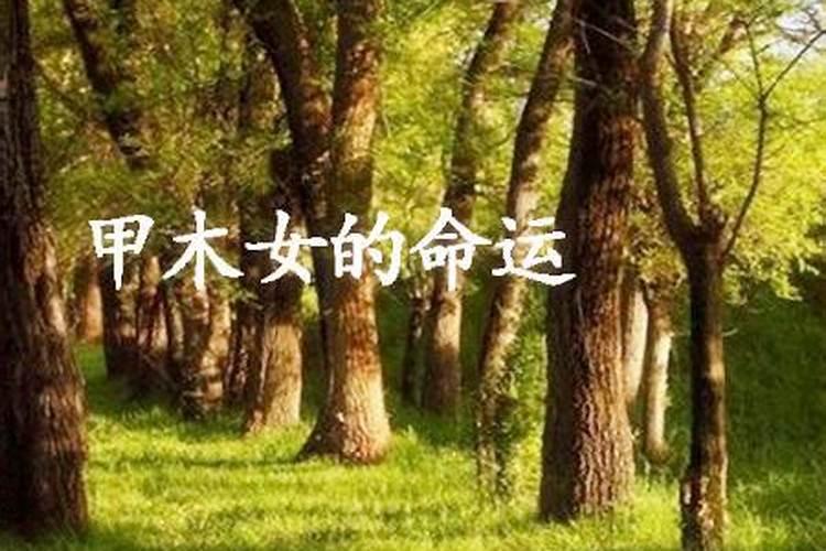 甲木女为什么喜欢己土
