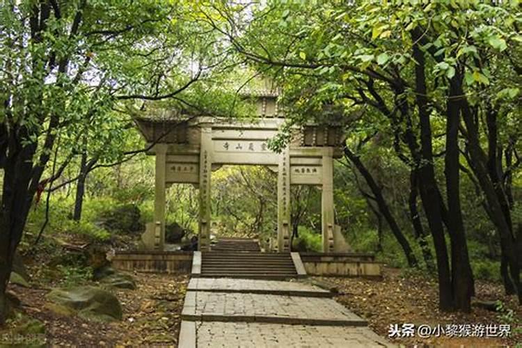 梦见别人吃鱼什么预兆
