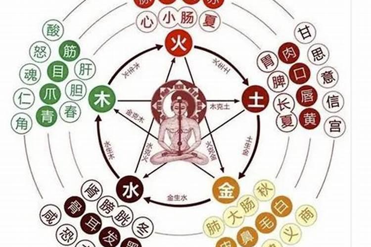 五行属于什么？什么是五运六气？