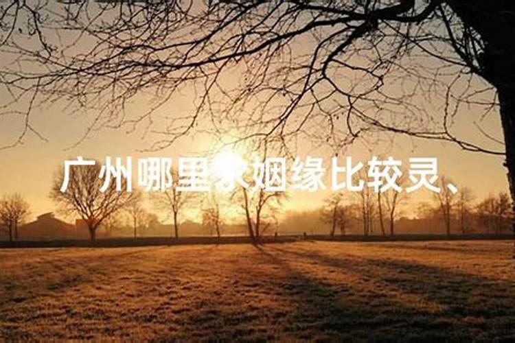 云南文山麻栗坡烈士陵园历史意义