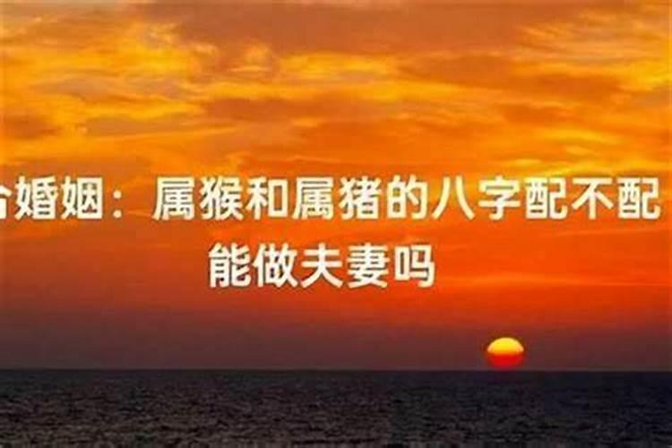备孕梦见鸡是不是胎梦