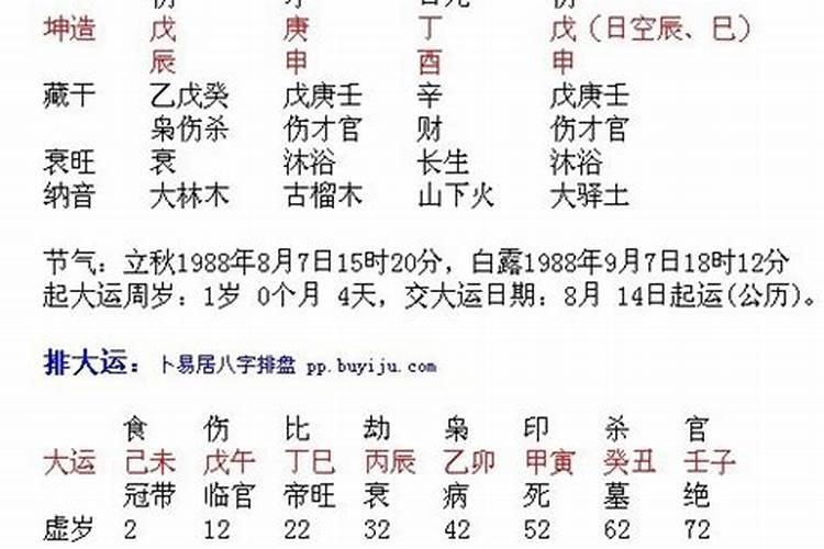 毕福剑八字分析,伤官格是什么意思？