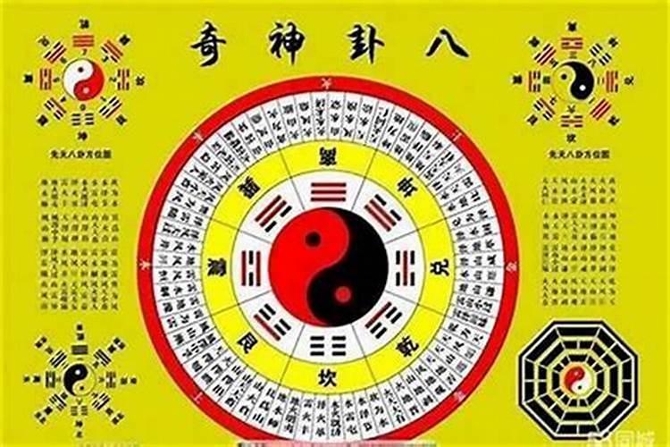 属鸡的人2025年运势及运程