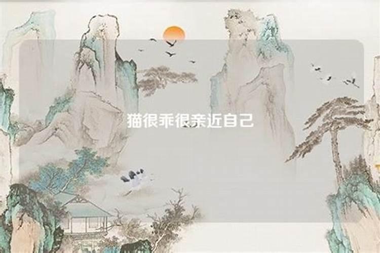 从初一到初七迎什么神 过年拜神烧纸怎么说