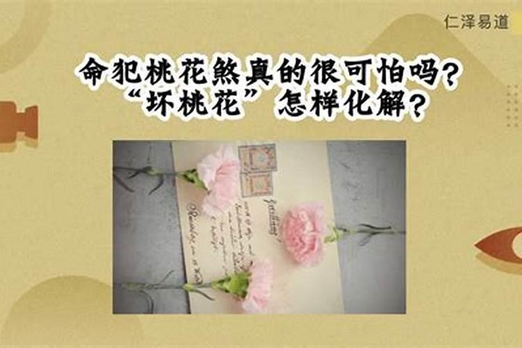 梦见表弟给我钱的预兆