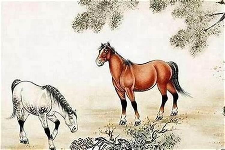 我是90年的马和79年的羊八字合不合