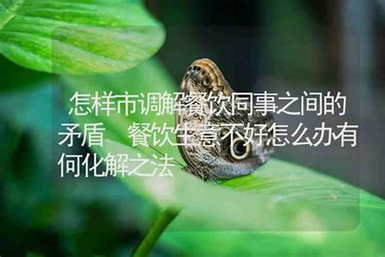 属马生于七月命运,属马阴历七月出生的命运