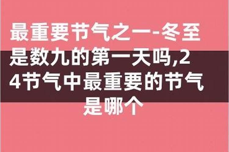 生肖猪1947年2025年运势如何 生肖猪1947年2025年全年运势