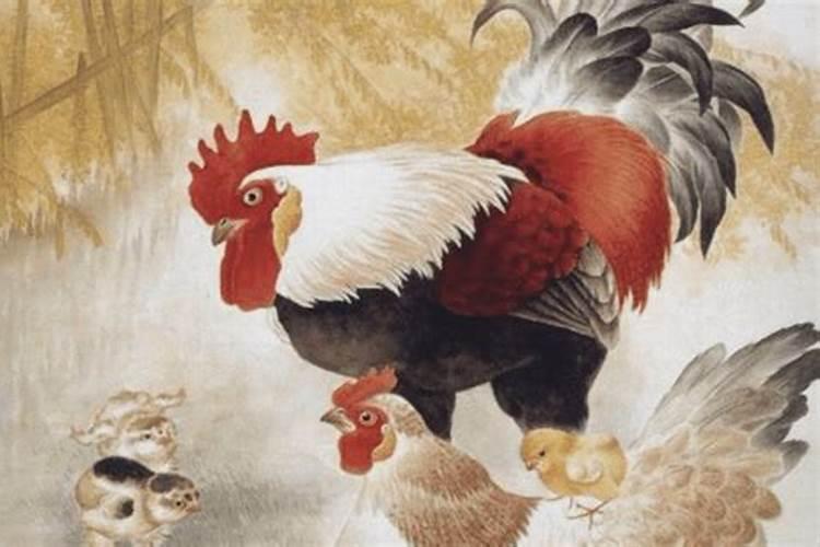 蛇男,农历1977年12月15日9点生人命如何？