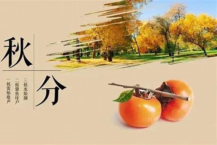 秋分节气的含义是什么