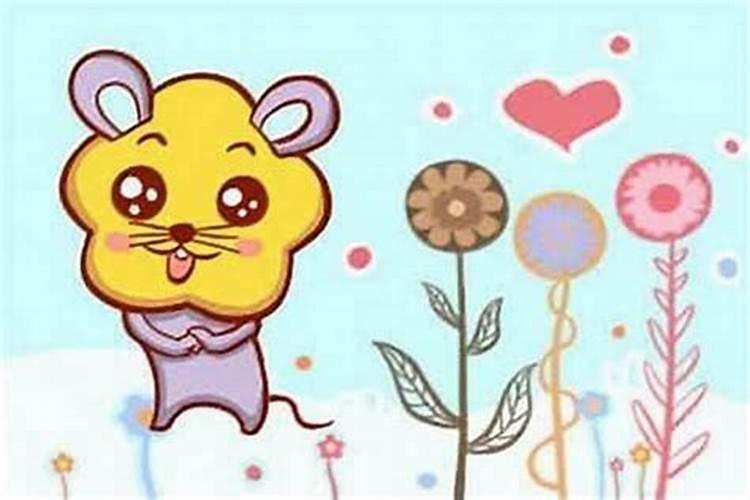 1996年生肖属鼠人在几月出生命运最好