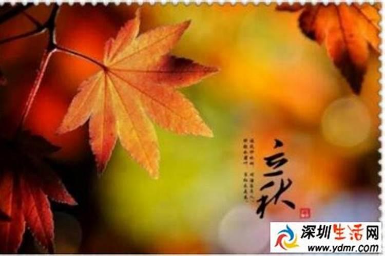 梦见被老板开除了是什么预兆