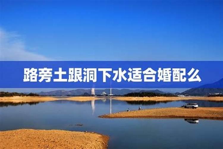 猪犯太岁的年份