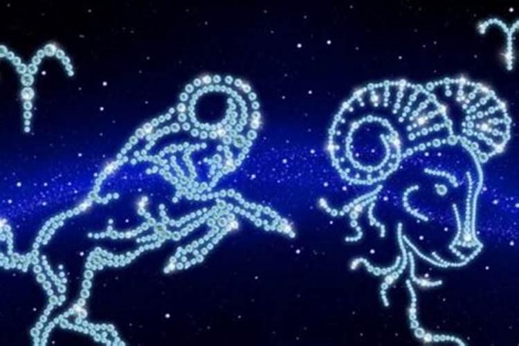我是一九九一年农历三月初三出生的,是属于什么星座的？命运好吗？