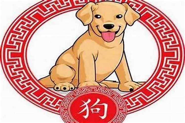 属狗人2025年全年运势运程免费 属狗2025年每月运势及运程详解