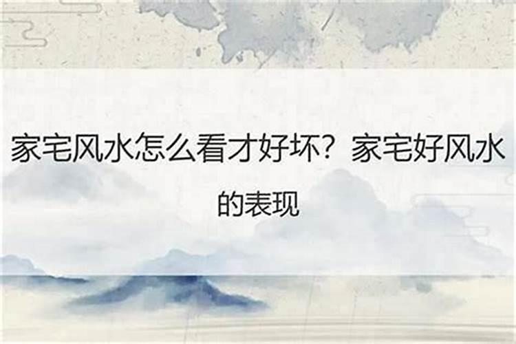 83年猪2025年运势