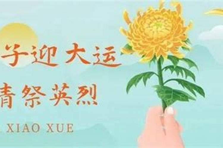 占卜和八字哪个准