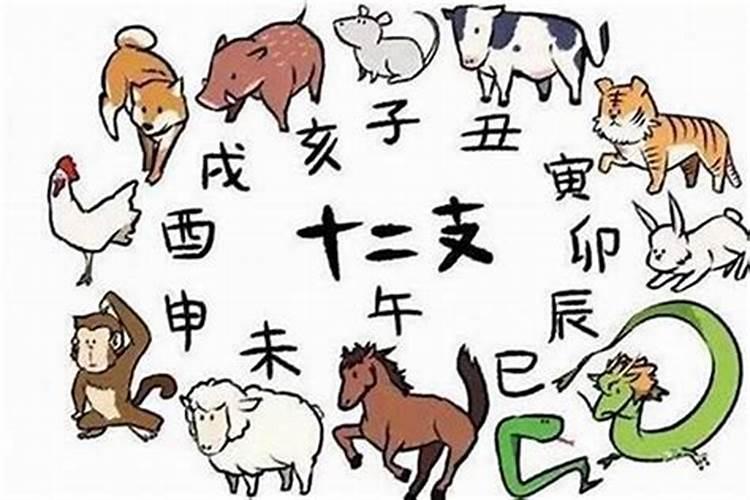 十冬腊月打一最准确生肖