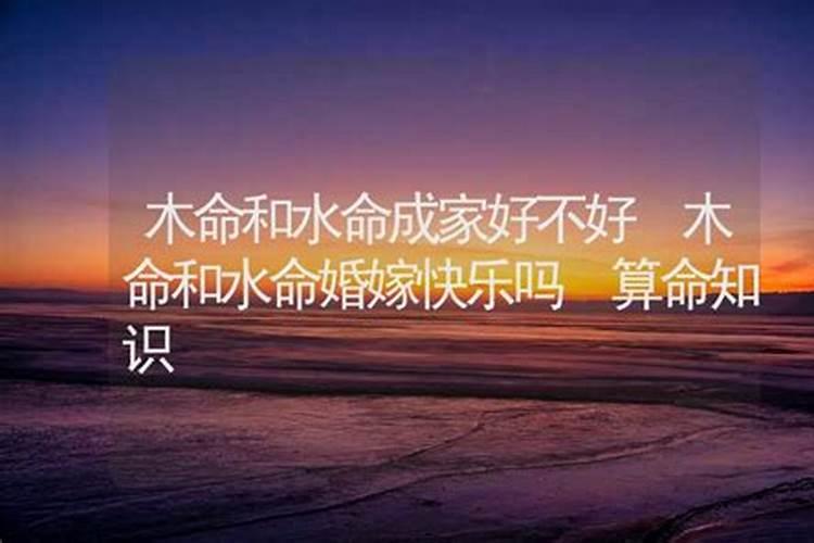 水命男和木命女的性格相配吗？