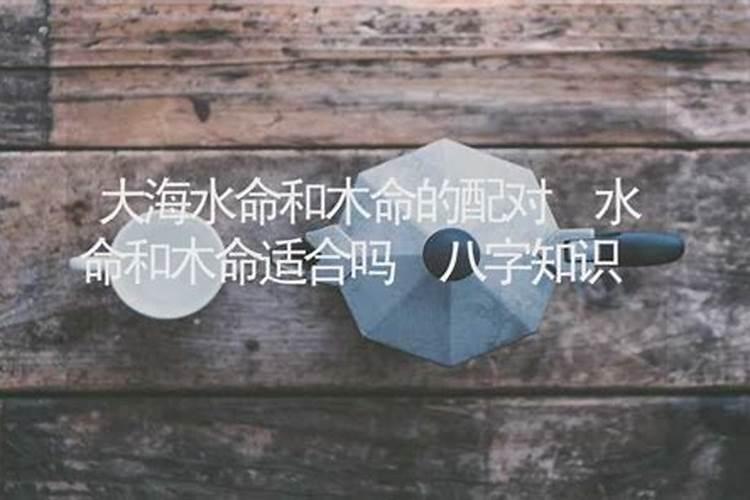 八字合婚:水命男和木命女