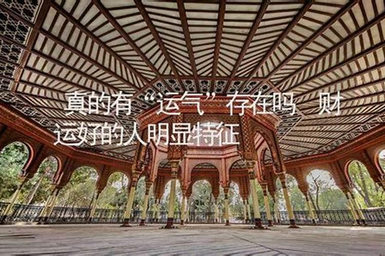 猴和鸡的婚姻怎么样