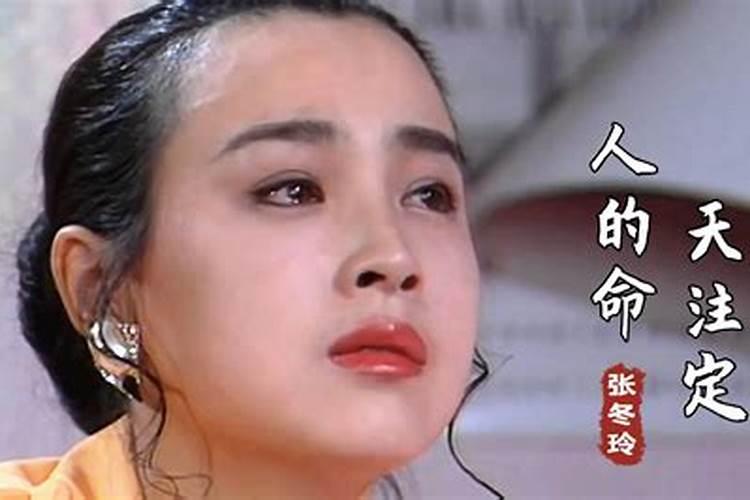 嘉兴哪些景点比较适合冬季旅游？