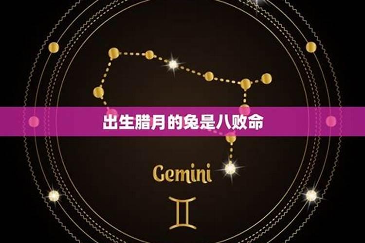 腊月的兔子运势如何？腊月出生的兔命苦吗？