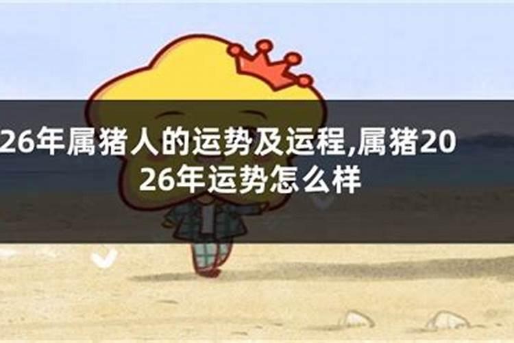 2025年属猪的全年运势