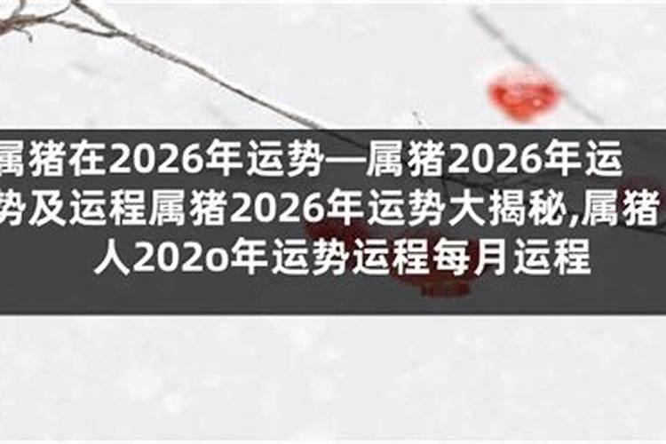2025年属猪的人的全年运势