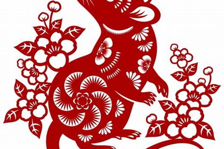 生肖鼠1972年2025年运势如何 生肖鼠1972年2025年全年运势