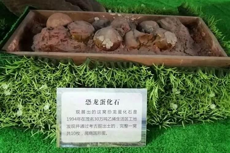 男子捡140斤太岁获利300万是真的吗？