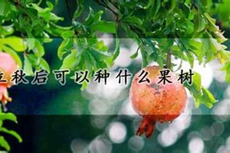 出生年月日五行查询表