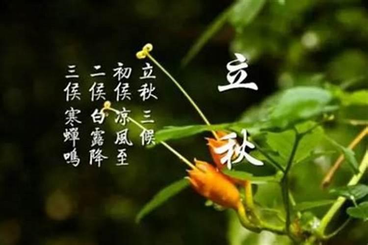 1969年属鸡的2025全年运势