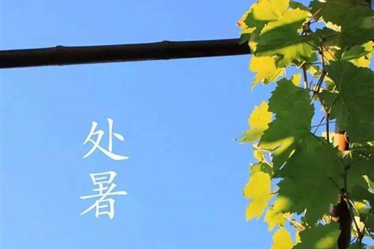 梦见自己被追不断躲藏