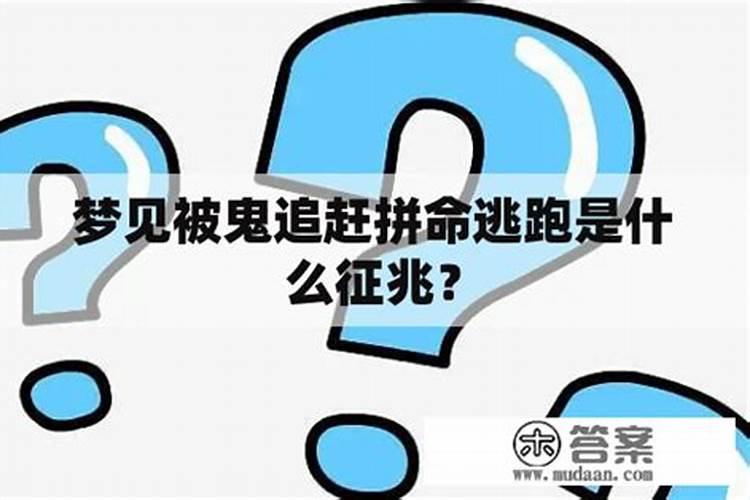 八字有冲有合先看哪个