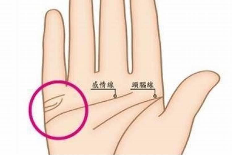 是不是只要过了腊八就等于过年了？