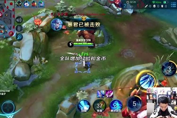 算命说的童子指什么