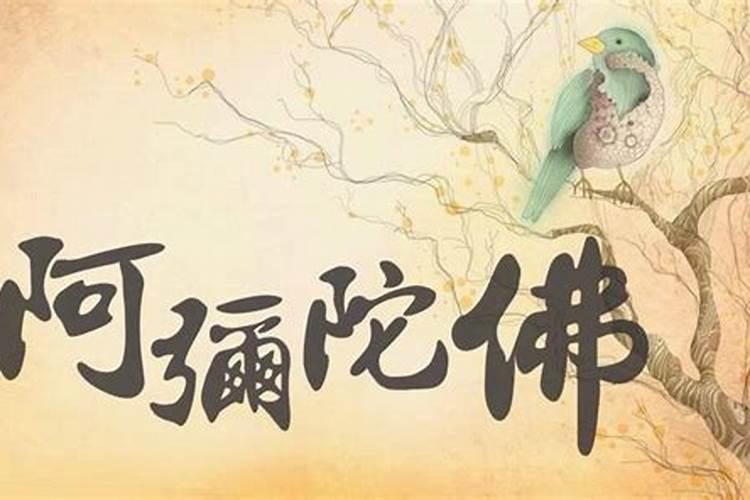 打胎要为孩子祈福要念什么经文？